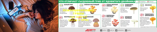 шишки Алексин