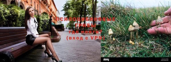 шишки Алексин