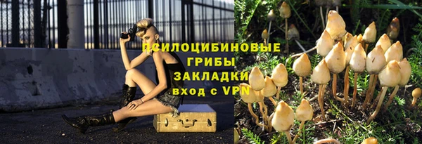 спайс Алзамай